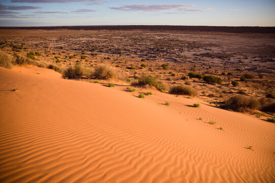Golden light on patterned sand dune
