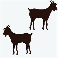Eid al Adha goat  vector 