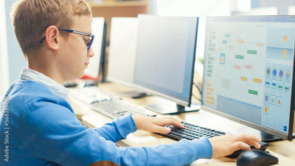 Poster elementary school computer science classroom: cute little boy wearing glasses uses personal computer