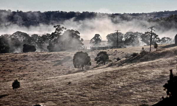 Foggy morning landscape.  In the mist.