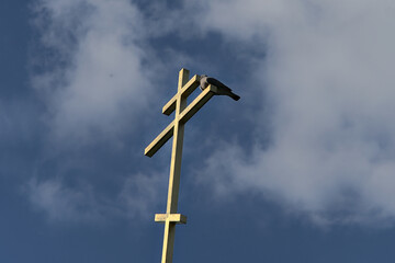A pigeon sitting on top of a golden orthodox cross