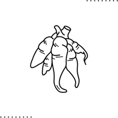 Cassava tuber vector icon in outlines
