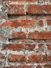 Grunge brick wall with bricks of different colors partially stained by mold and moss. Texture and background.