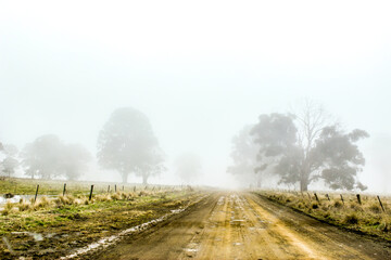 A dirt country road in the mist as snow is melting