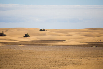 Fototapeta na wymiar Desert sand dunes Maspalomas, Gran Canaria 