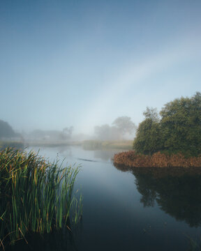 Misty morning beside a river with calm water, reeds and trees