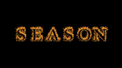 Fototapeta na wymiar season fire text effect black background. animated text effect with high visual impact. letter and text effect. Alpha Matte. 