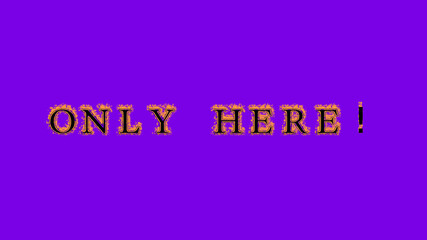 only here! fire text effect violet background. animated text effect with high visual impact. letter and text effect. Alpha Matte. 