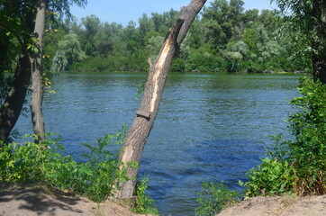 lake in the woods