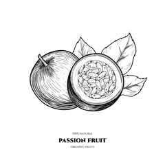 Vector passion fruit  hand drawn sketch. Vintage style