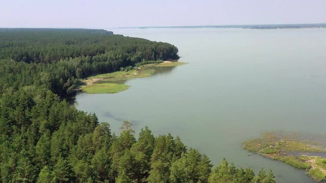 Aerial video of forest boggy lake in the Karakansky pine forest near the shore of the Ob reservoir.