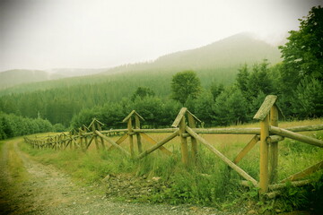 Fototapeta premium rural landscape in the morning