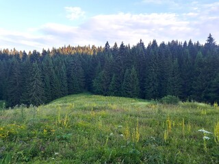 Autumn landscape in the mountains