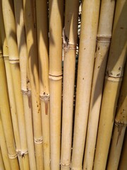 Background from a bamboo fence close-up.
