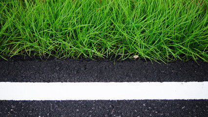 green grass on the road