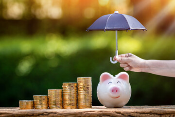 Piggy bank and stack gold coin and woman hand hold the black umbrella for protect on sunlight in...