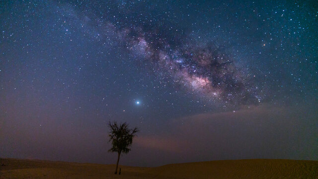 Milky way sky over the desert with single tree in abu dhabi united arab emirates 