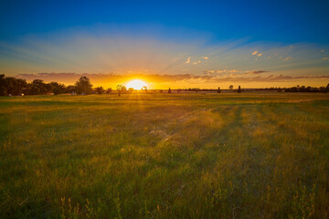 Fototapeta na wymiar Sunset over a grassy field with sun rays.