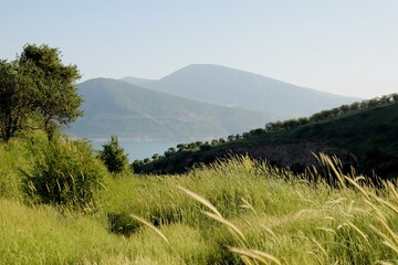 landscape in the mountains