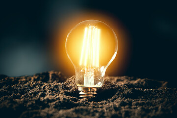 Eco environment, abstract lighting bulb concept