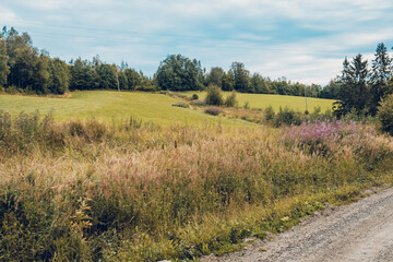 landscape with field and blue sky