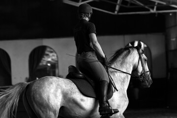 Fototapeta na wymiar A horse and a rider