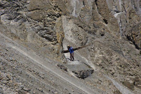 Nepali carries Wood planks through a dangerous landslide zone. Building material for a new building at tilicho base camp. Side Trail from Annapurna circuit.