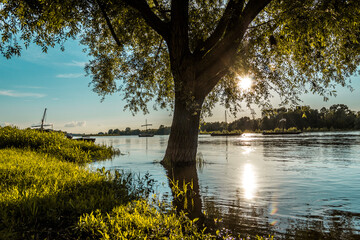 Boats and trees next to La Loire