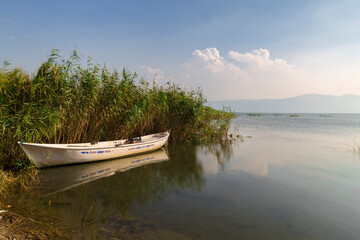 Naklejka na ściany i meble A fishing boat among the reeds. Iznik Lake. Bursa.
