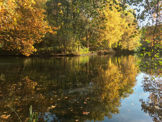 Herbstliches Farbspiel mit Spiegelung im Tiergarten Berlin