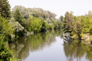 Fototapeta na wymiar Summer river among green trees