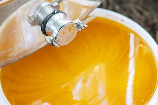 Close up picture of fresh dripping organic honey