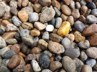 Cape Cod Beach Stones