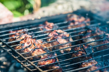 chicken kebabs are cooked on a grill