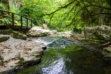 stream and waterfall in morigerati in Cilento National Park
