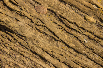 The surface of a sandstone rock by the sea, weathered and scorched by the sun