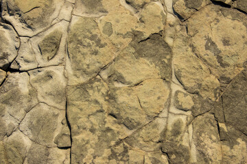 The surface of a sandstone rock by the sea, weathered and scorched by the sun
