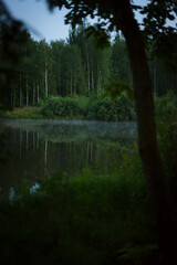 sunset over the lake in forest with fog, reflection of trees in the lake