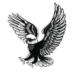 Eagle emblem isolated on white vector illustration. World symbol of freedom. Retro color logo of falcon. Eagle detailed logo.