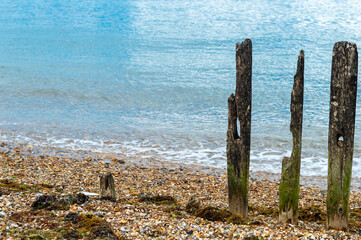 old wooden fence on the beach