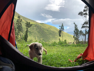 camping in the mountains