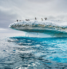 Adele penguins find safety on top of floating ice bergs