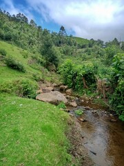 Beautiful landscape of the Munnar city in Kerala, India with valley and mountains view. Grasslands of beautiful hill station of India, Munnar with selective focus for leisure and tourism purposes.