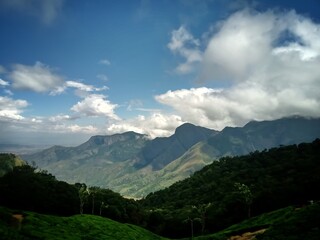 Beautiful landscape of tea plantation in the Indian state of Kerala with selective focus. landscape of the city, Munnar with its tea planatation, valley and Nilgiri mountain ranges.