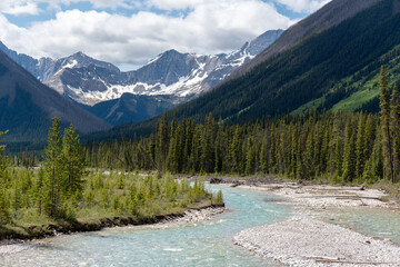 Kootenay river in British Columbia on a sunny day with mountains in the background