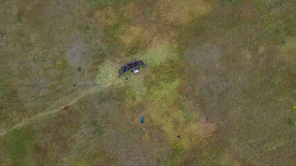 View from the height of the people are resting on the lawn. Top view of crowd of people. Space for text. Design concept.