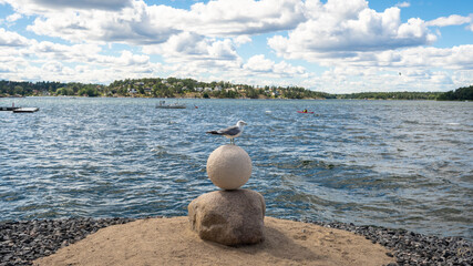A Seagull sits on a white stone ball against the blue sea. Summer beautiful Baltic sea landscape. Horizon line with white clouds and forest islands. Wild Bird on the coast of Scandinavia close up. 