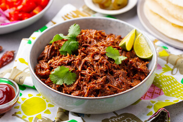 Mexican shredded beef with tortillas, vegetables and sauce. Grey background. Close up.
