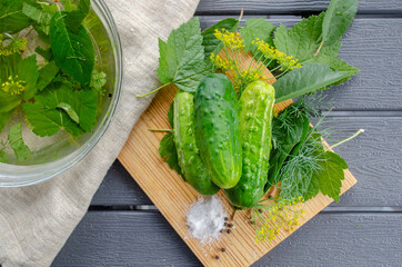 Tasty lightly salted cucumbers