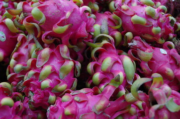 tropical pink dragon fruit market